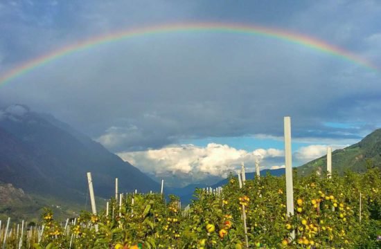 schnalserhof-latsch-vinschgau-suedtirol (33)