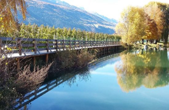 schnalserhof-latsch-vinschgau-suedtirol (34)