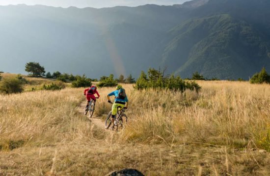 schnalserhof-latsch-vinschgau-suedtirol (39)