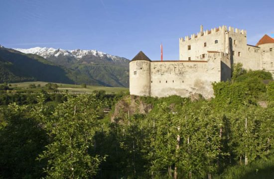 schnalserhof-latsch-vinschgau-suedtirol (13)